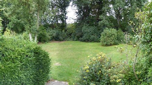 Rasen4 - 