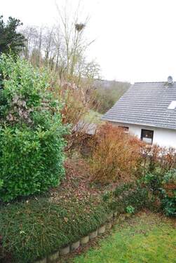 Blick in den Garten - 