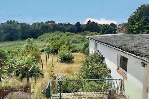 Blick in den großen Garten - 