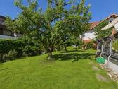 Garten mit Obstbäumen - 