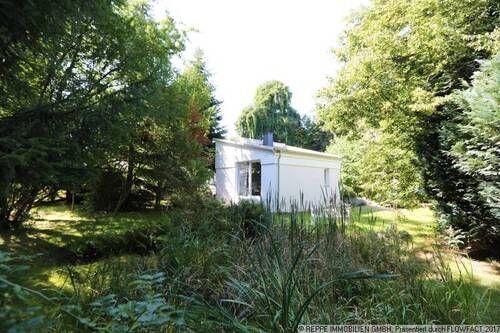 Blick über den Gartenteich - 