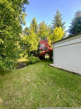 Blick in den Garten - 