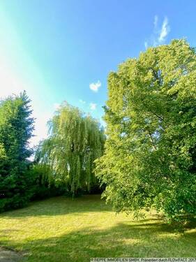 Blick in den Garten - 