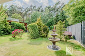 Blick in den Garten - 