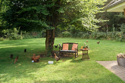 Schattenplatz im Garten - 