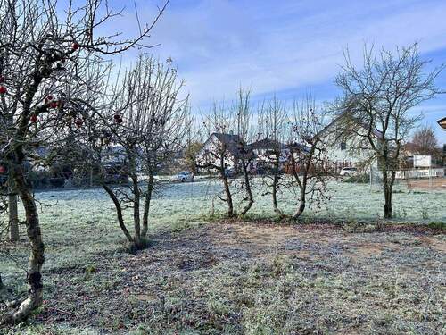 20251121_095847529_iOS - 