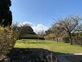 Gartenansicht - 4 Zimmer Doppelhaushälfte zum Kaufen in Heiligenhafen