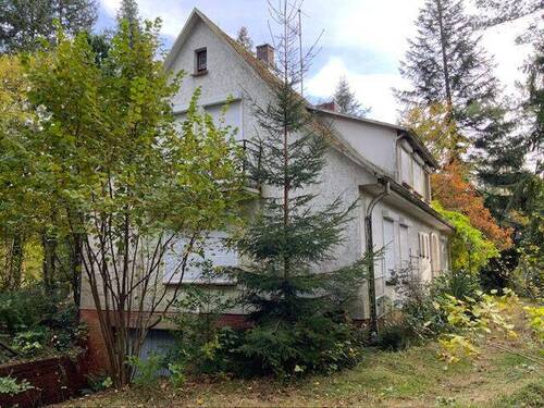 IMG_1098.jpg - Courtagefrei - keine Baubindung