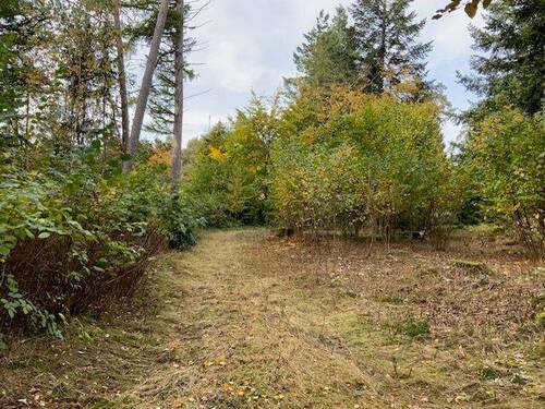 IMG_1095.jpg - Grundstück in Buchholz