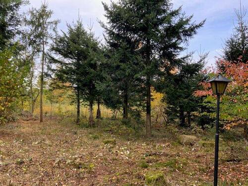 IMG_1099.jpg - Grundstück in Buchholz zum Kaufen