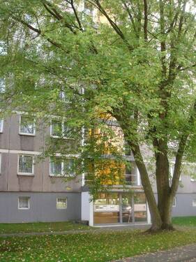 Vorderansicht - Eingang eines mehrgeschossigen Wohnhauses mit Bepflanzung - 3 Zimmer Etagenwohnung in Kassel