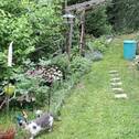 Garten - Mehrfamilienhaus, Wohnhaus mit 220,00 m&sup2; in Grafling zum Kaufen