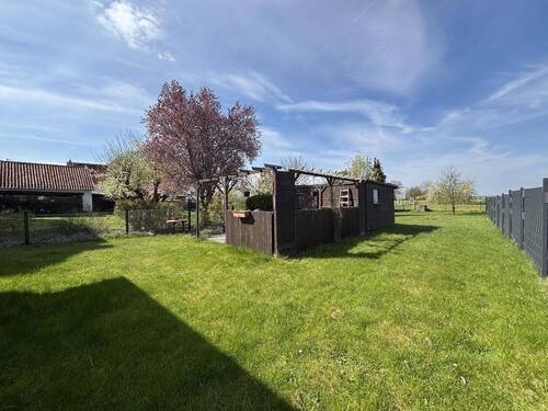 Blick in den Garten - 