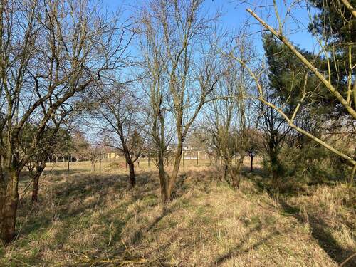 hinterer Grundstücksbereich - 