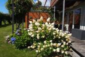 Impressionen Garten - 