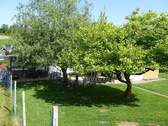 Sonne und Schatten - 