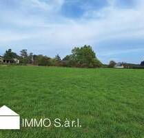 Dort leben wo sich Fuchs und Hase Gute Nacht sagen ! - Altscheid