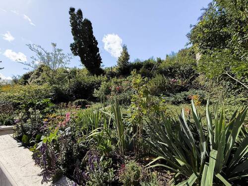Impression Garten - 