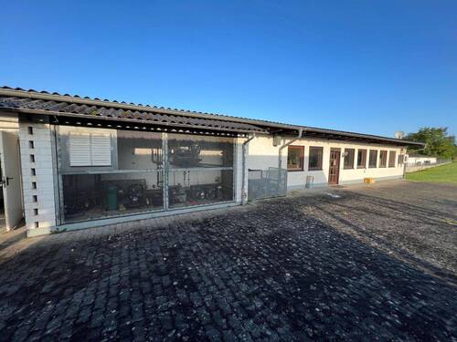 Außenansicht Hinten - Halle in Ortenberg zum Kaufen