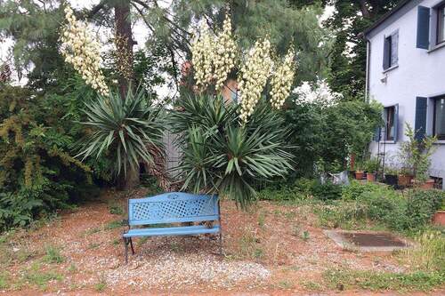 Garten - Mehrfamilienhaus, Wohnhaus mit 308,40 m&sup2; in Speyer zum Kaufen