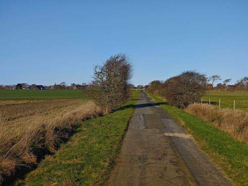  Kialengung Blick nach Norden - Grundstück in Sylt OT Morsum zum Kaufen