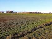 Ackerfläche - 
