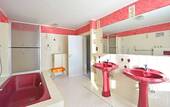 26-5538 - OGA Bad (2) - 