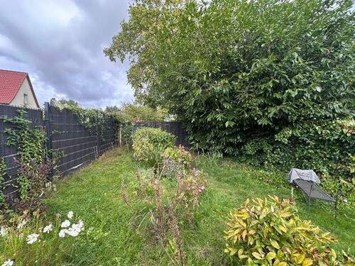 PHOTO-2024-10-22-11-34-57 (6) - 