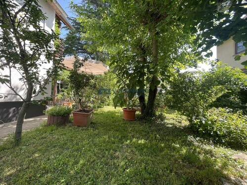 Gartenansicht mit schönem Baumbestand - 