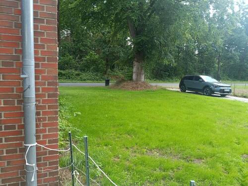*links* Garten - 
