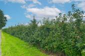 Nachbarschaft - 