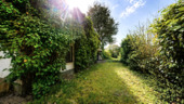 Blick in den Garten - 