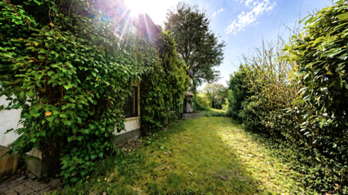 Blick in den Garten - 