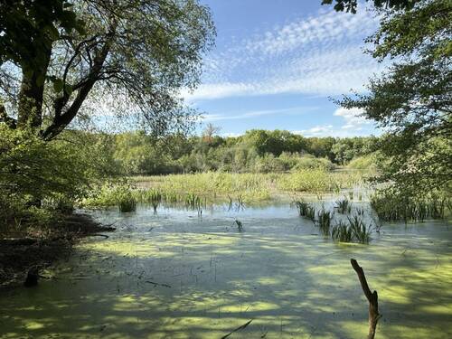 nahes Naturschutzgebiet Fauler See - 