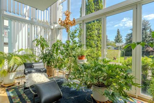 Blick in den Garten - 