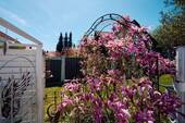 Gartenimpressionen - 