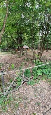 Bild 3 - Grundstück in Fichtenwalde