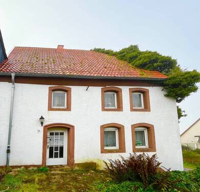 Frontansicht - 6 Zimmer Doppelhaushälfte zum Kaufen in Pirmasens