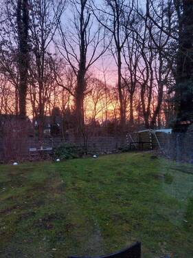 Der Garten im Winter - 