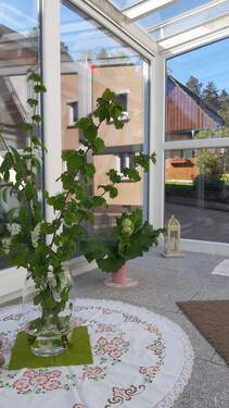Wintergarten (bewohnt) - 