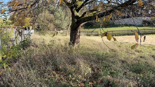 Grundstück - Ländlich wohnen - 55.000,00&nbsp;EUR Kaufpreis, ca.&nbsp; 0,00&nbsp;m&sup2;