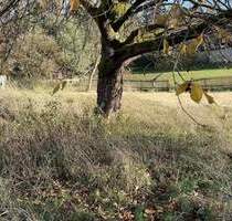 Ländlich wohnen - 55.000,00&nbsp;EUR Kaufpreis, ca.&nbsp; 0,00&nbsp;m&sup2; in Neustadt (PLZ: 01844) Langburkersdorf