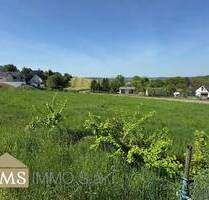 Tolles Baugrundstück in Olk! - 250.000,00 EUR Kaufpreis, ca.  0,00 m² in Ralingen (PLZ: 54310) Olk