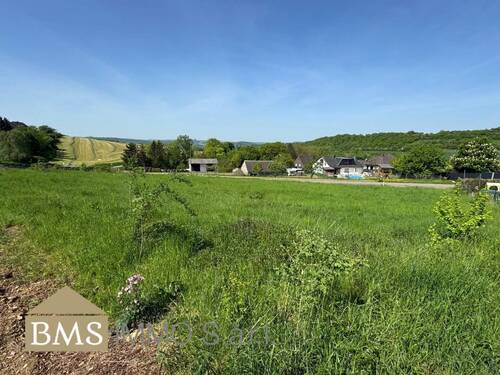 Bild 3 - Grundstück in Ralingen