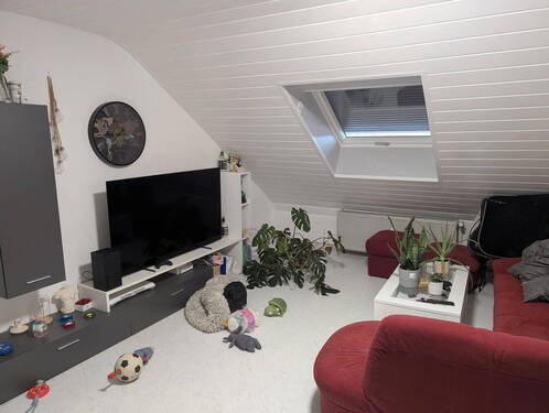 Bild 5 - 