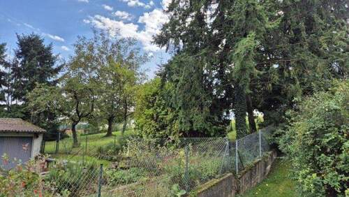 Garten eingezäunt - 