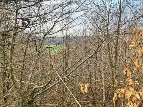 Grundstück Ansicht 1 - Grundstück in Windeck zum Kaufen