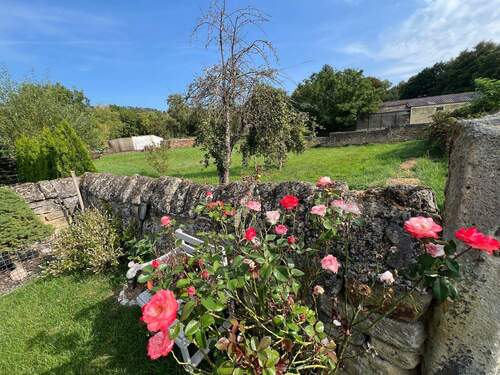 Blick in Garten - 