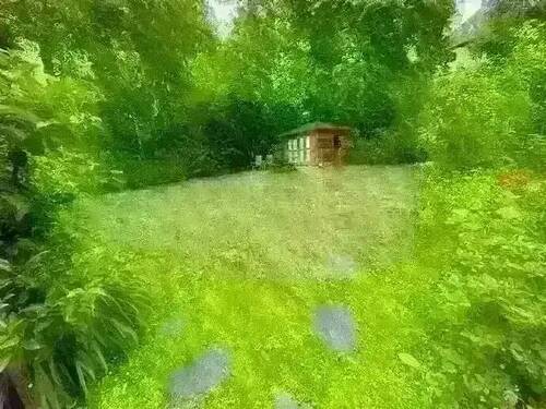 original (17).webp - 