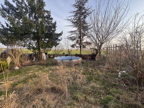 Naturnahes Außengelände mit Teich und etabliertem Baumbestand - 